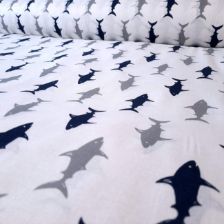 Shark (1)