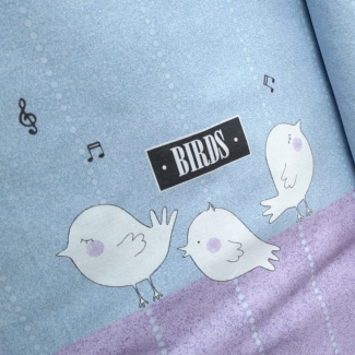 Birds