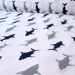 Shark (1)